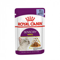 Royal canin sensory Smell in gravy 12 zakjes